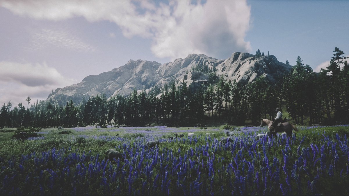 Riservin's tweet photo. Just some #RedDeadRedemption2 scenery. https://t.co/QrZmDH2u61
