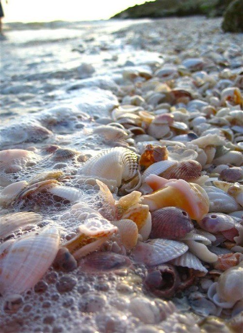 ...на море с любимым человеком