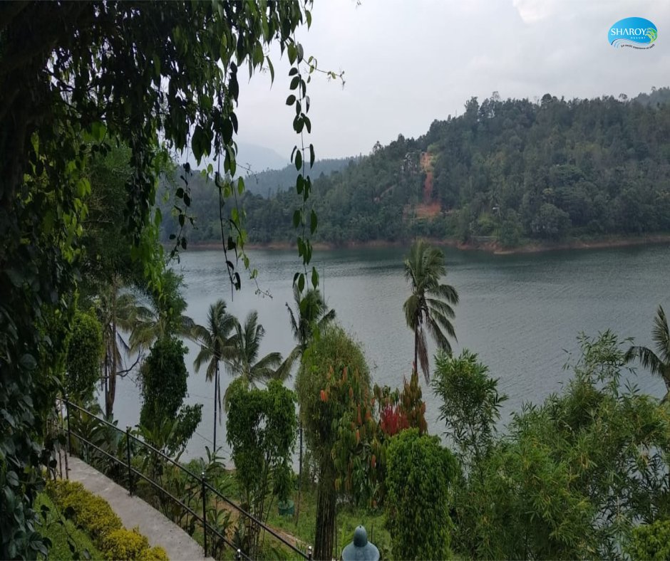 SharoyResort's tweet photo. #day #wayanad #archery #banasuradam #filmphotography #kerala #godsowncountry #naturewalk #boating #bestviewresortsinwayanad #swimmingpool #fashion #resortsinwayanad #wayanadresorts #godsplan #pedal #cricket #ayurveda #spa #naturephotography #hollywood #bollywood #India #lifestyle https://t.co/3MDZ8oPjsq
