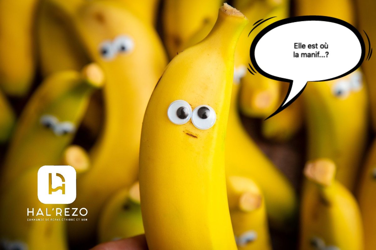 A chacun son gilet jaune...🍌🍌🍌🍌🍌🍌🍌🍌🍌🍌
📲: halrezo.com ==> commande, réservation et livraison de repas halal
#halrezo #restaurant #halal #restauranthalal #restohalal #halalfood #muslims #food #eat #giletjaune #manifestation #encolère #paris #macron #banane