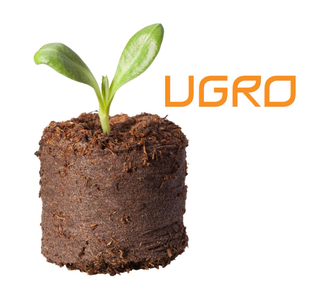 simplyorganicsl's tweet photo. How do YOU call this little guy?
#UGro #Plug #UGroCoco #coconutsubstrate #cocopellet #coir #growingmedia #cultivate#growyourown#startsmall #jiffy #peatless #sustainablefarming#gardening #rhiza#growingcannabis #marijuanaplant#medicalcannabis#hydroponics#coconutfibre#compressedcoco https://t.co/ItO24NPrb3