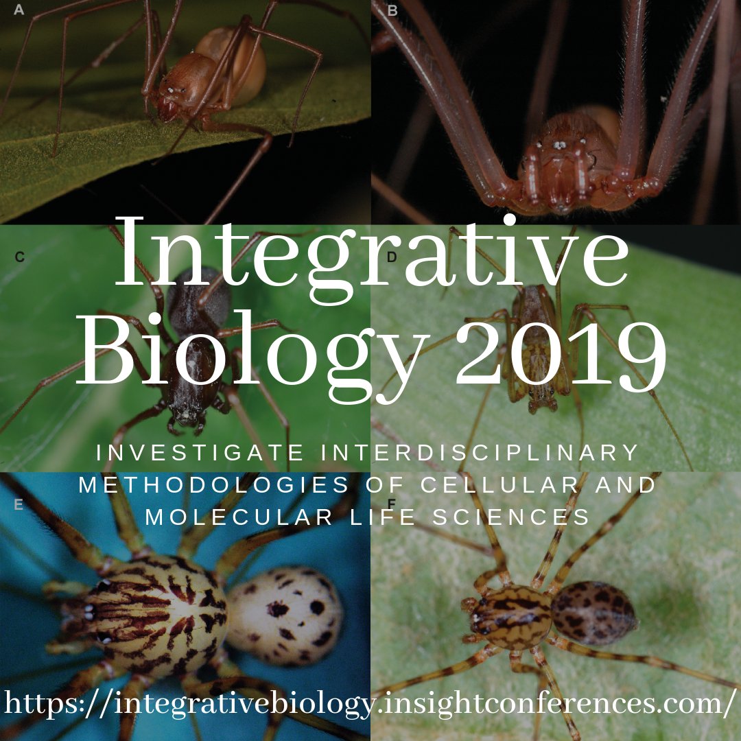 InteBiologyConf's tweet photo. Login to: ……………………https://t.co/TtPj9jaf7z     Hurry up ! Get great Discounts on your group registrations! 
@InteBiologyConf 2019 @ Berlin Germany
Highlights: 
#IntegrativeOrganismalBiology
#CellBiology
#MolecularBiology
#SystemsBiology
#SyntheticBiology
#StructuralBiology https://t.co/URulvUfV3h