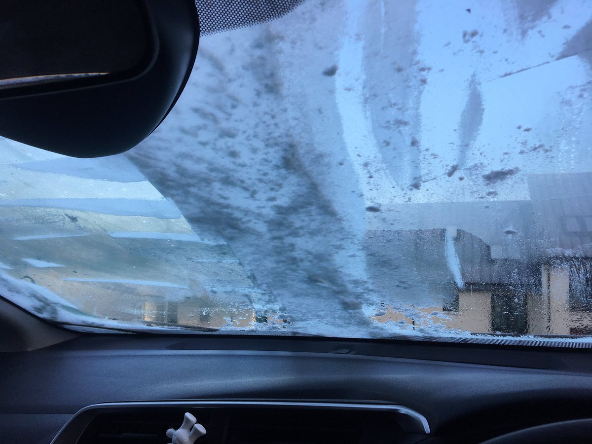 RosySmudge's tweet image. When you realise you’ve bought a cat whose windscreen you can’t reach the middle of #shortproblems