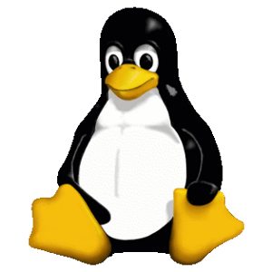 phoronix's tweet photo. #Linux 4.19.7 Getting Revised #STIBP Code, Important PCIe Fix For #Radeon GPUs https://t.co/NQBn54tlKI https://t.co/MfPKmL2y4V