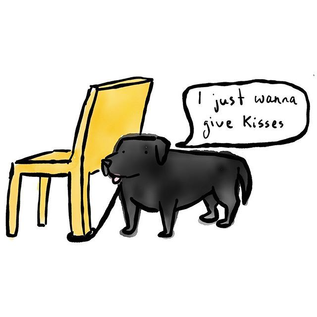 Dog Wat I Saw On Twitter Big Labrador Having To Be