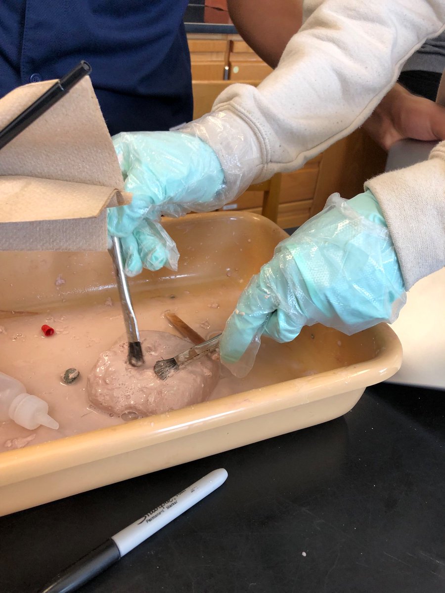 Mrs. Carpenter’s Earth Science class <a href="/LangstonHS_APS/">Langston High School</a> doing a fossil dig! @APSscience