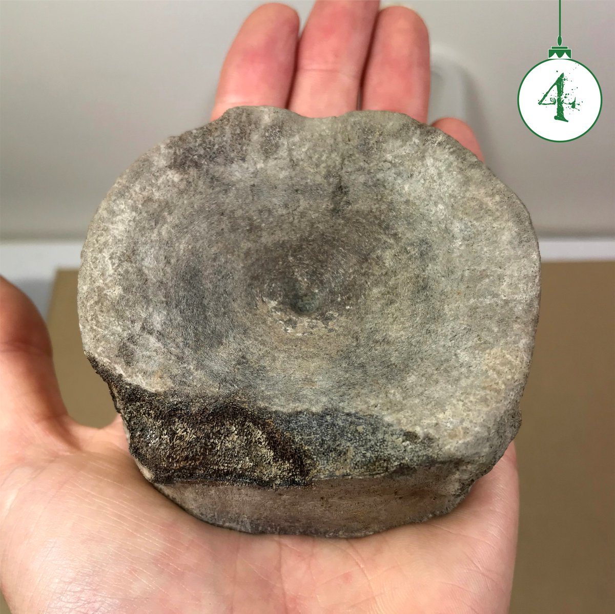 CotswoldArch's tweet photo. Archaeologists absolutely, categorically, 100% don't ever dig #dinosaurs, ok? - That's palaeontology.
The contents of #ArchiveCalendar Box X - fossil vertebra of a marine reptile, most likely an ichthyosaur, recovered during excavations in #Gloucestershire...
#CAA18 https://t.co/8tbhRlhkl3