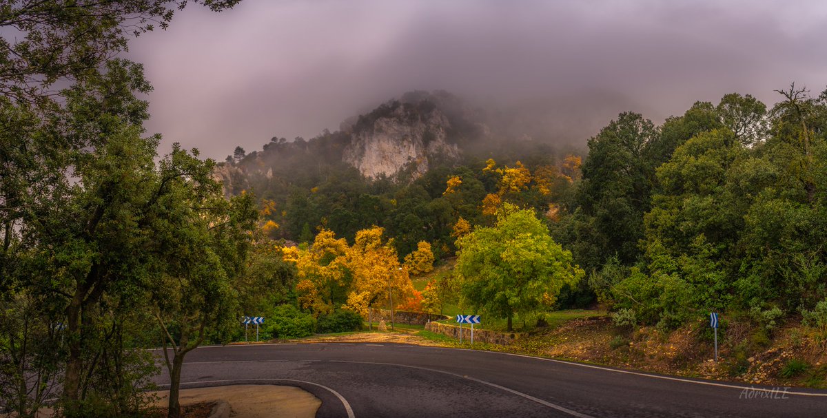 AdrixILE's tweet image. El otoño, arboles de distintos colores, el frío y la niebla, la altitud y la Fuente Roja.

Recuerda que también estoy en Instagram
👉 instagram.com/adrixile👈

#otoño #javea #xabia #alcoy #alcoi #paisaje #bosque #fuenteroja #frio #niebla #followforfollowback