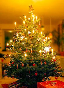 Chicca_M_'s tweet photo. "Non “mondanizzare” il #Natale, non è nato l’albero ma Gesù" @Pontifex_it 
L'abete, una delle più diffuse usanze natalizie, è simbolo della #vita che serve a  riorientare la bussola dei nostri interessi verso il regalo più bello: Gesù! Non falsiamo le nostre #tradizioni! https://t.co/IUF6rbCWqZ
