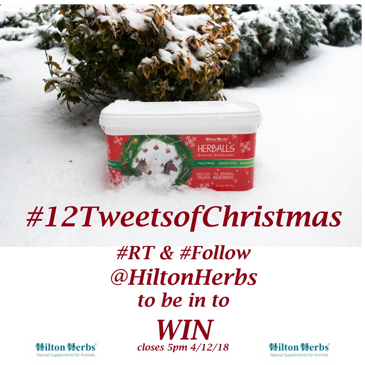 #12TweetsofChristmas Be in to #WIN some Herballs treats for your ponies! #CompetitionTime #prizedraw  All you have to do is #RT and #Follow <a href="/HiltonHerbs/">Hilton Herbs</a> simple as that! we will announce the winner after 5pm today. #Goodluck #WIN