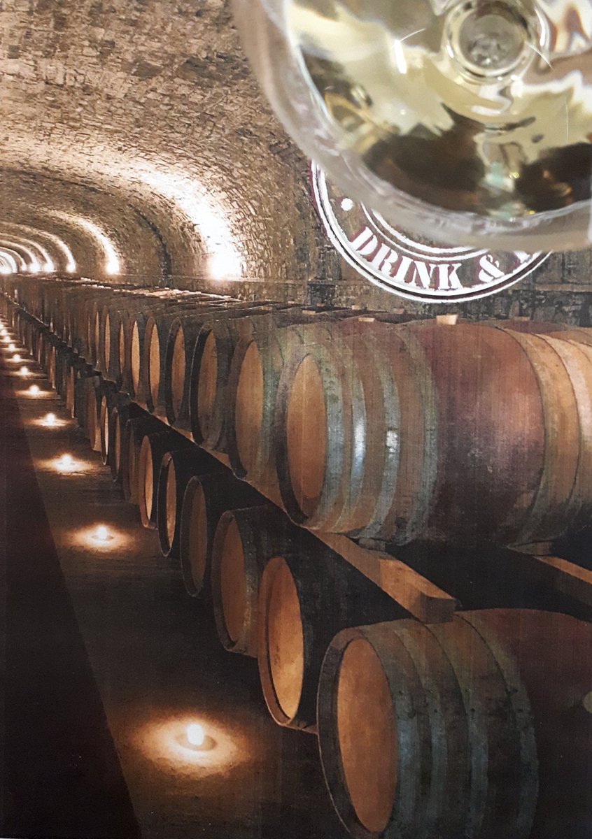olette96's tweet photo. Ultima lezione dedicata all'#enoturismo al #Muvismuseovino con @daniapples e @futuroitaliano https://t.co/wQKWM5HrCE