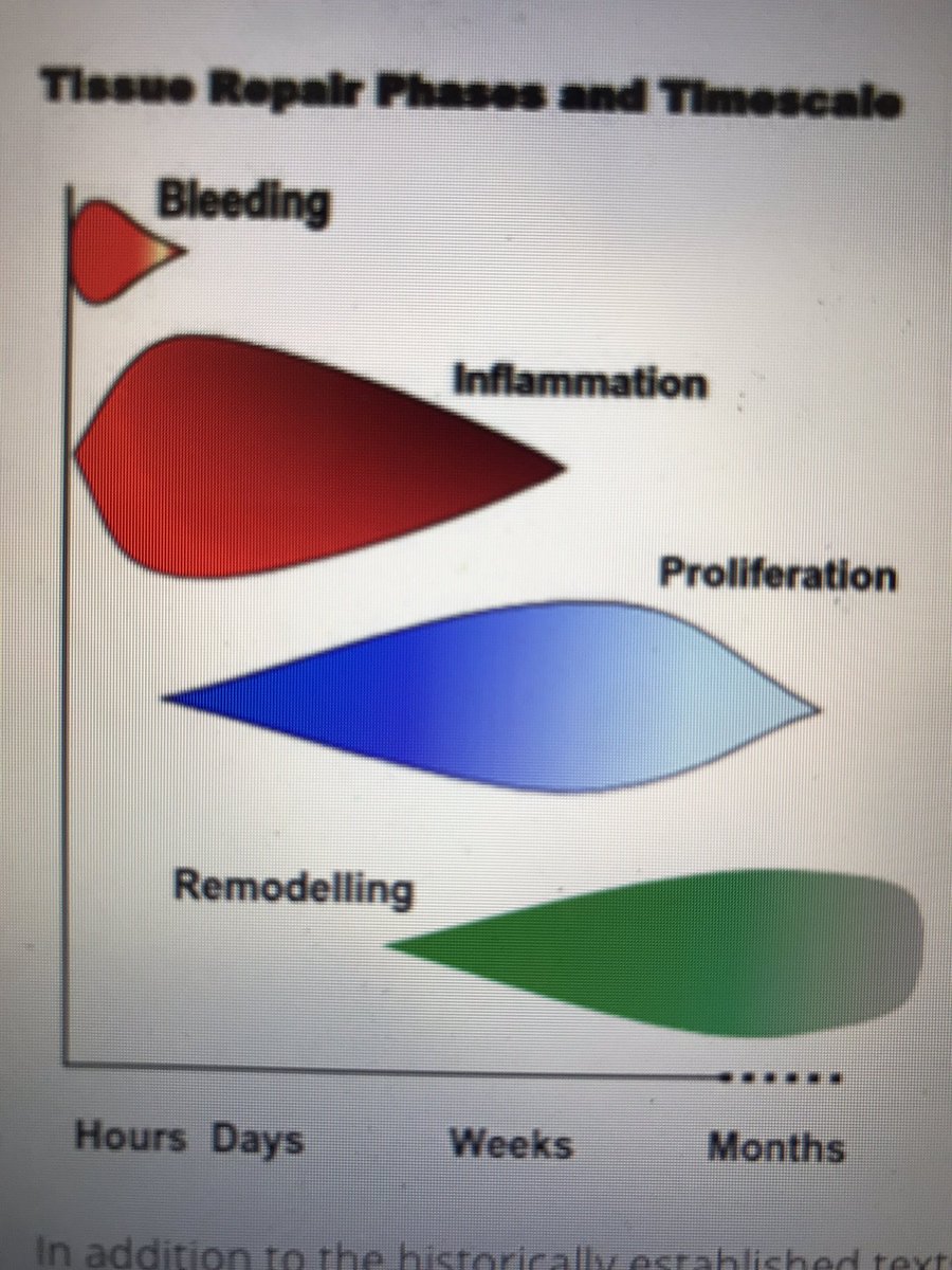 SJDPhysio's tweet photo. Thoroughly enjoying legendary Tim Watson on soft tissue healing @QMULSportExMed https://t.co/pvtwslh1yk