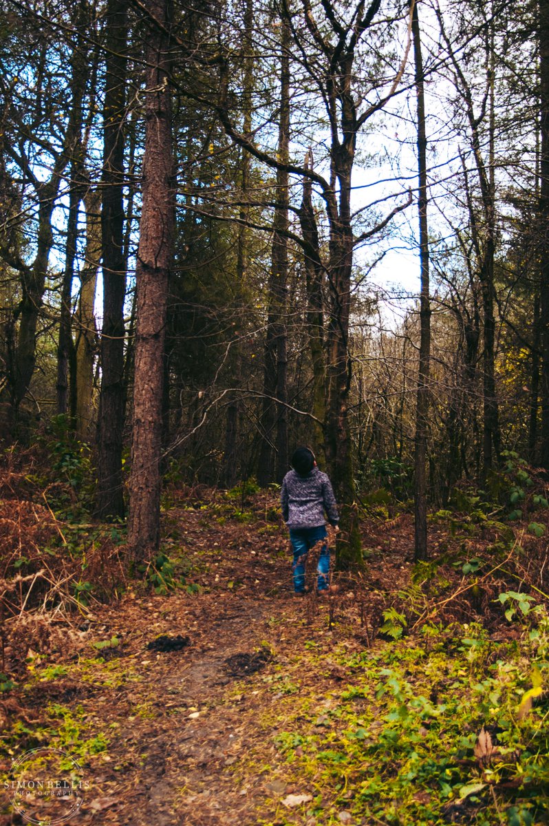 Simon Bellis Photography (@simon_bellis_) on Twitter photo It’s such a big world 🌍 Never stop exploring little one. #littleadventurer #DelamereForest #Northwestphotographer #FamilyPhotography #CheshirePhotography It’s such a big world 🌍 Never stop exploring little one. #littleadventurer #DelamereForest #Northwestphotographer #FamilyPhotography #CheshirePhotography
