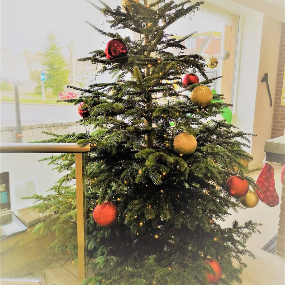 totalprojectman's tweet photo. It's beginning to look a lot like Christmas here at our showroom #littlecommon #bexhill.  Have you decorated your office or workspace yet? 🎅🎄
#christmas #christmasofficedecor #showroom #festive #officelife #twinkle #bauble #bathrooms #kitchens #floorcoverings #wallcoverings https://t.co/rTu81MO27E