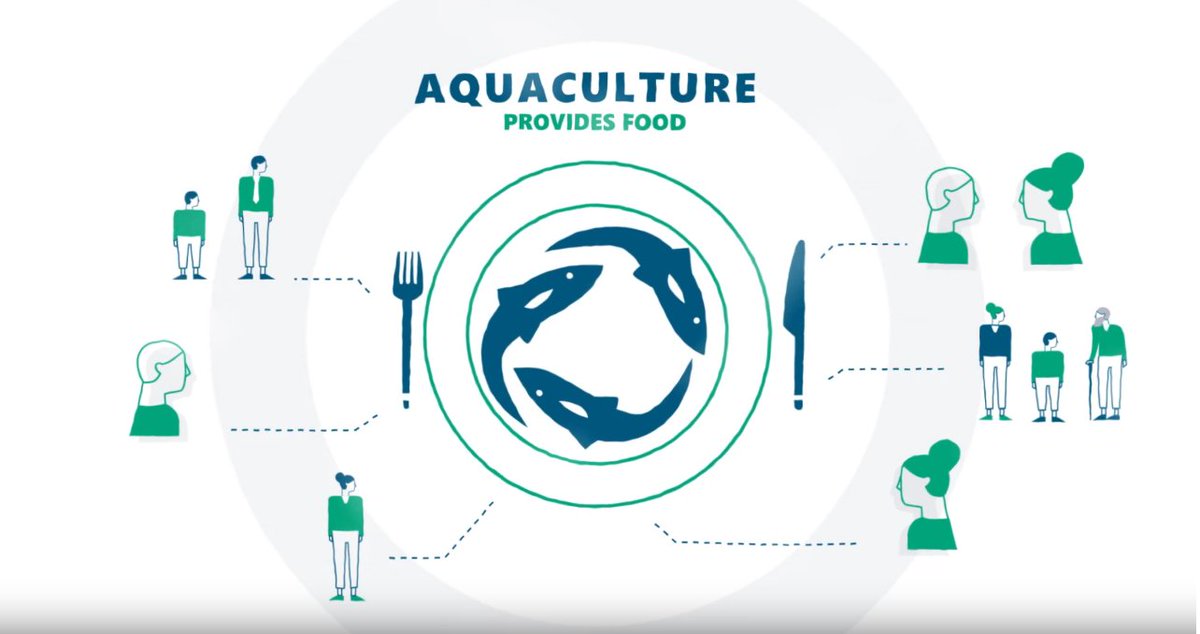 #Aquaculture provides #food for the #world. The short #animation made in the framework of the 50th Anniversary of our European #Federation of #fish #farmers is now available on Youtube:  
youtu.be/p_hmIzfO9uU
#FEAP50 #WeAreTheSolution