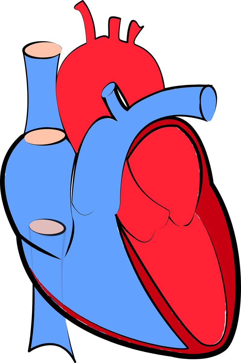 KetoPub's tweet photo. A study published in 2015 showed that a low carb diet was more effective than a low fat diet at improving cardiovascular risk factors over a 12 month period. 
The low fat diet was consistent with national guideline recommendations. https://t.co/12X5uvv6hD #lowcarb #ketodiet #cvd https://t.co/5jdHidLtFs