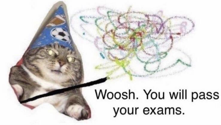 RespectfulMemes's tweet photo. https://t.co/P6K7AQ7TQK