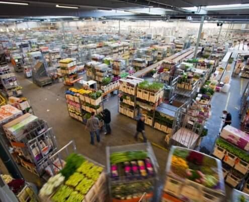 DAVINC3I Community tweet media