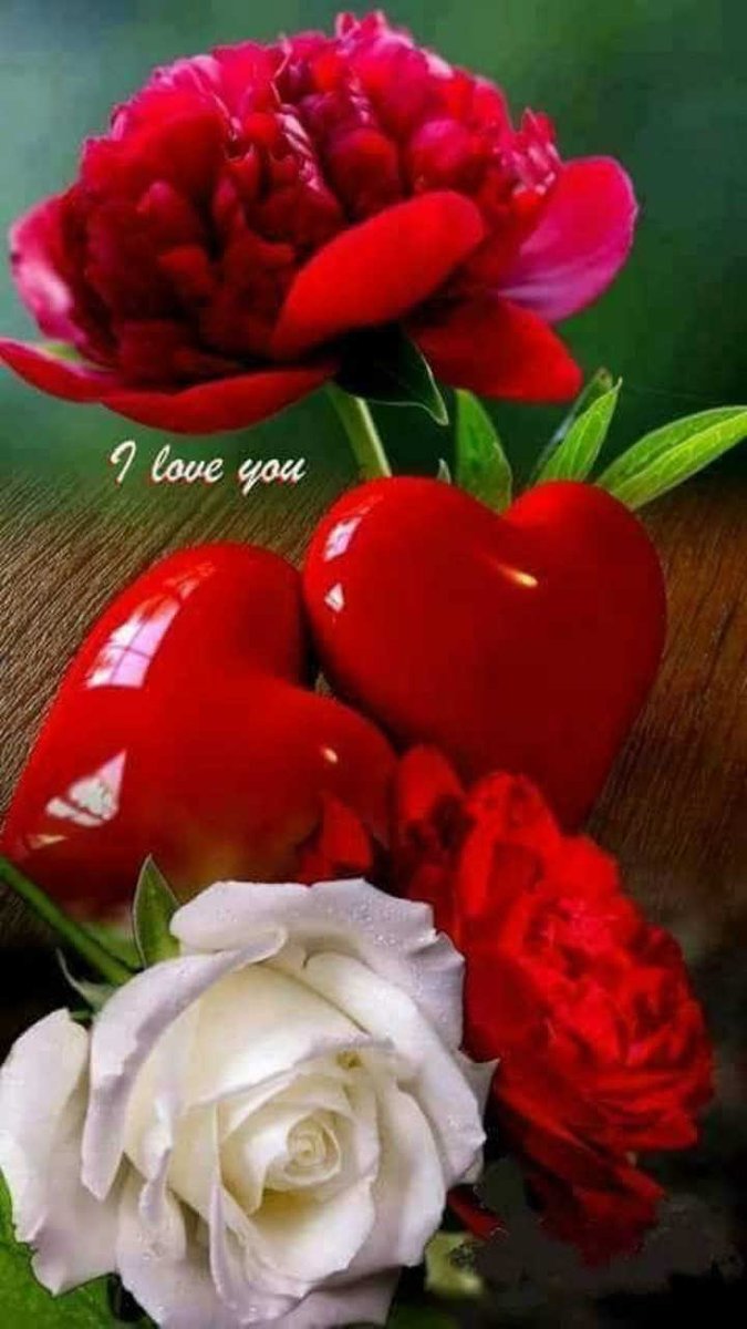 Hossin El (@hossinel7) on Twitter photo 