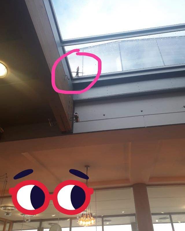 SpokesNotts's tweet photo. 4th December and our mischievous elf is on the roof! #howdidyougetupthere? #elfontheshelf #spokesnotts #Nottingham #LoveNotts https://t.co/Qltk20YiCb