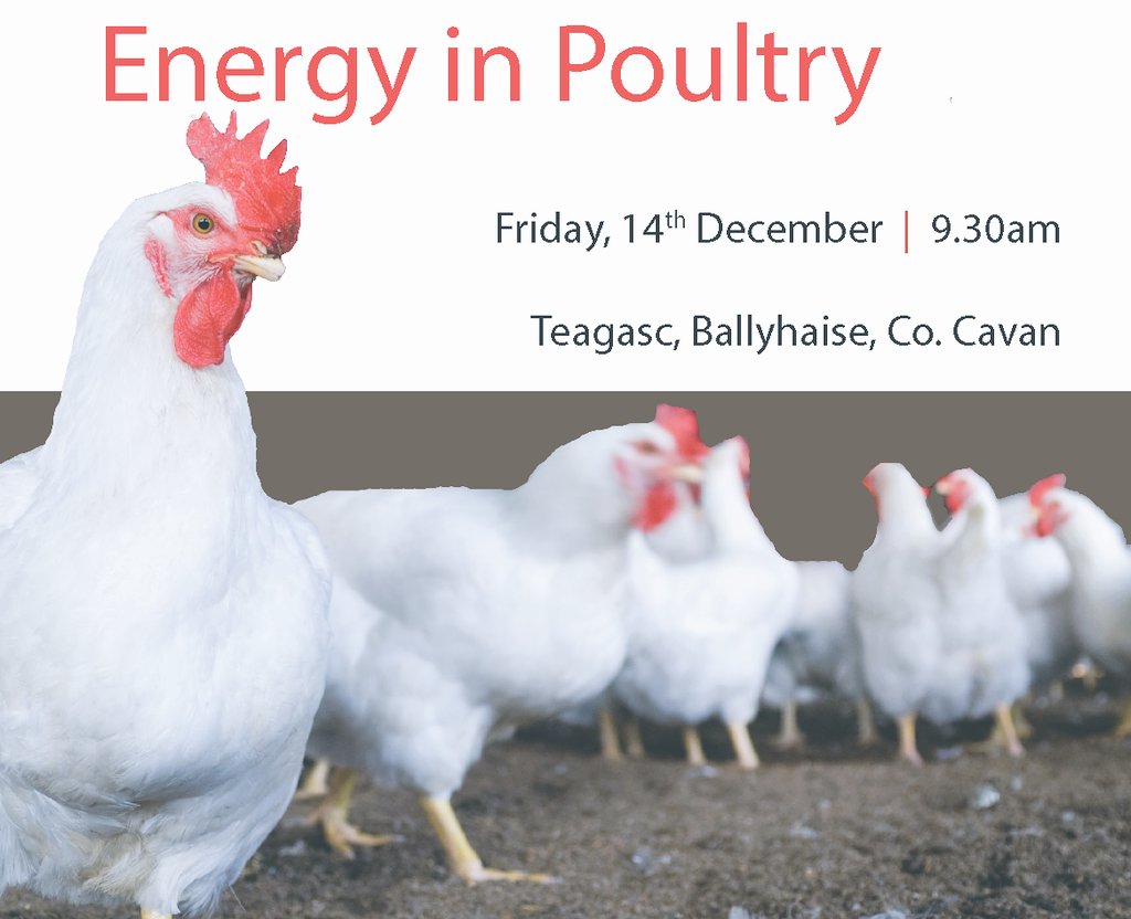 AlchemyUtility's tweet photo. Alchemy are please to announce that we have been selected to sit on the panel of experts at the Energy in Poultry event this month. CEO, Richard Griffin, will be taking part and discussing renewable energy opportunities for the poultry industry. #alchemyTD #drydigestion https://t.co/U9wesbOFx5