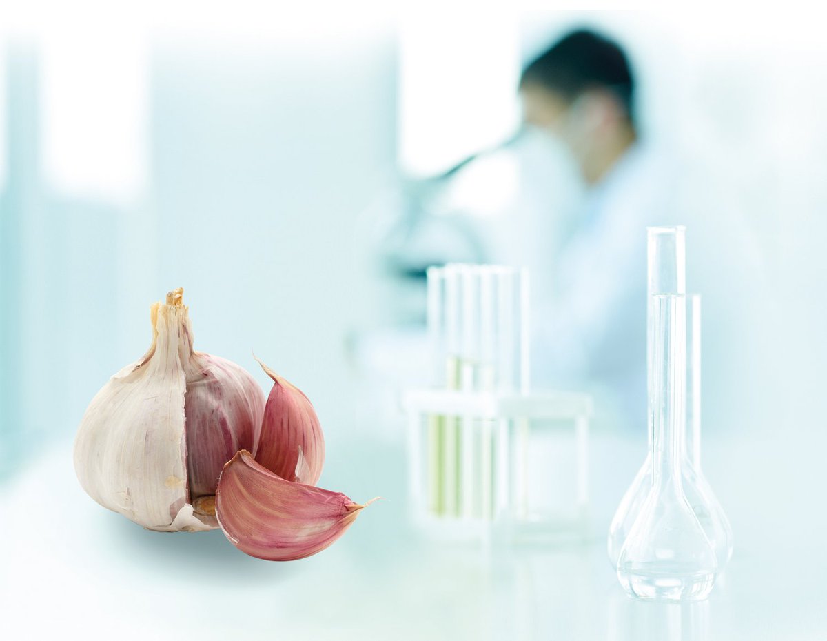 WG_innovation's tweet photo. Researchers from @cardiffuni and @NeemBiotech have managed to recreate an antibiotic compound found in garlic #Ajoene - want to find out more? Read #Advances86 here: https://t.co/Pb0Mo6HQCT https://t.co/bYZUstZNkV