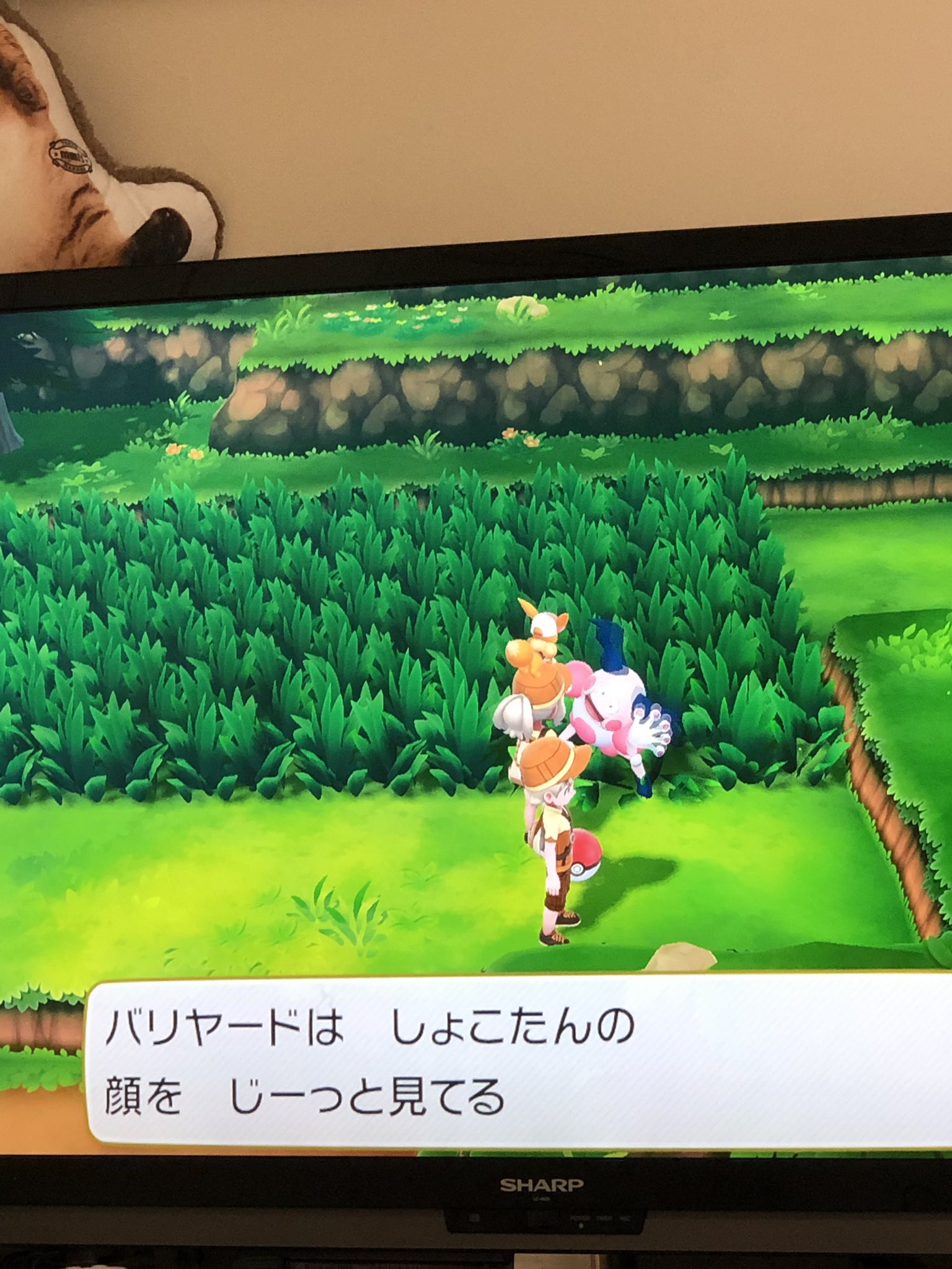 周年の中川翔子 怒涛のリリイベで バッジ3つでずっと止まっていたピカブイ ようやくじわじわやれそう バリヤードの動きにどハマりしてずっと連れ回してる ヤバイ 人みたい すごい 気づかなかった バリヤードがこんな面白いなんて