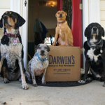 Photo by LifeWithMutts (@lifewithmutts)