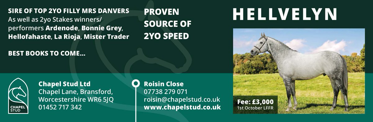 bloodstocknews's tweet photo. DON'T MISS out on Chapel Stud's HELLVELYN, sire of 2yo filly MRS DANVERS as well as 2yo Stakes winners and performers, ARDENODE, BONNIE GREY, HELLOFAHASTE, LA RIOJA and MISTER TRADER. 

He stands for a 2019 stud fee of £3,000 Oct 1, LFFR. #readallaboutit https://t.co/gGBPYlHcMt