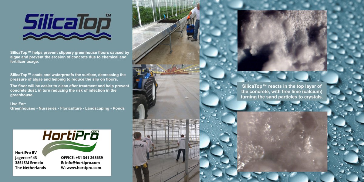 HortiProBV's tweet photo. SilicaTop prevent slippery #greenhouse #flooring #coatings #algae Reacts in the top layer of #concrete specifically developed for use in the greenhouse area to help prevent erosion of concrete due to  chemicals &amp;  fertilizers. https://t.co/451Jnex6qM #hortipro #SilicaTop #erosion https://t.co/PFSYywGyYE