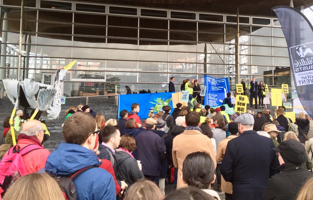 “We can’t solve congestion by building more roads, we need to provide alternatives-we can’t do that if we spend all our $ on roads” protesting the M4 in Wales, but words that ring true globally. Government needs to step up and prioritise wildlife. #nonewM4