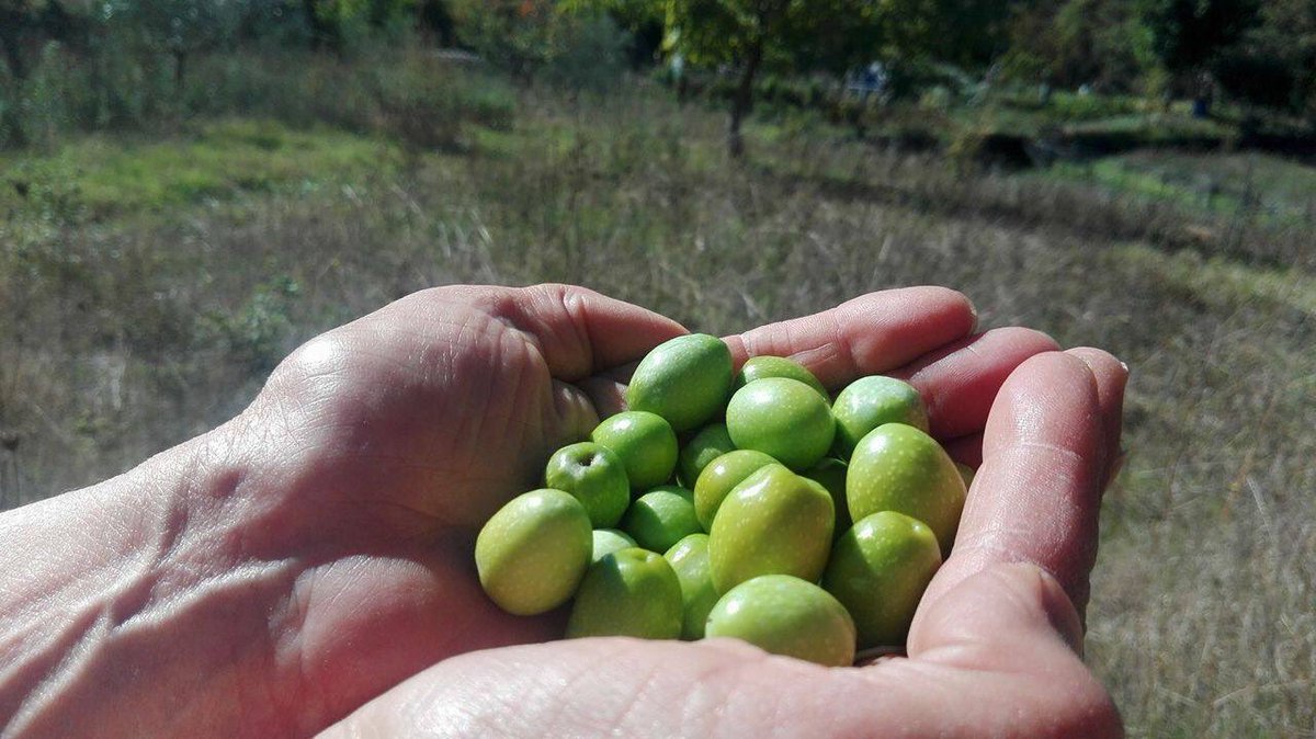 naturalmensa's tweet photo. Cosa promuove il progetto #NaturalMensa❓
Nel link tutte le info 👉🏼 https://t.co/xecrEvpVxW 😃
#basilicata #lucania ✔️ https://t.co/LNi1HE3Zh6