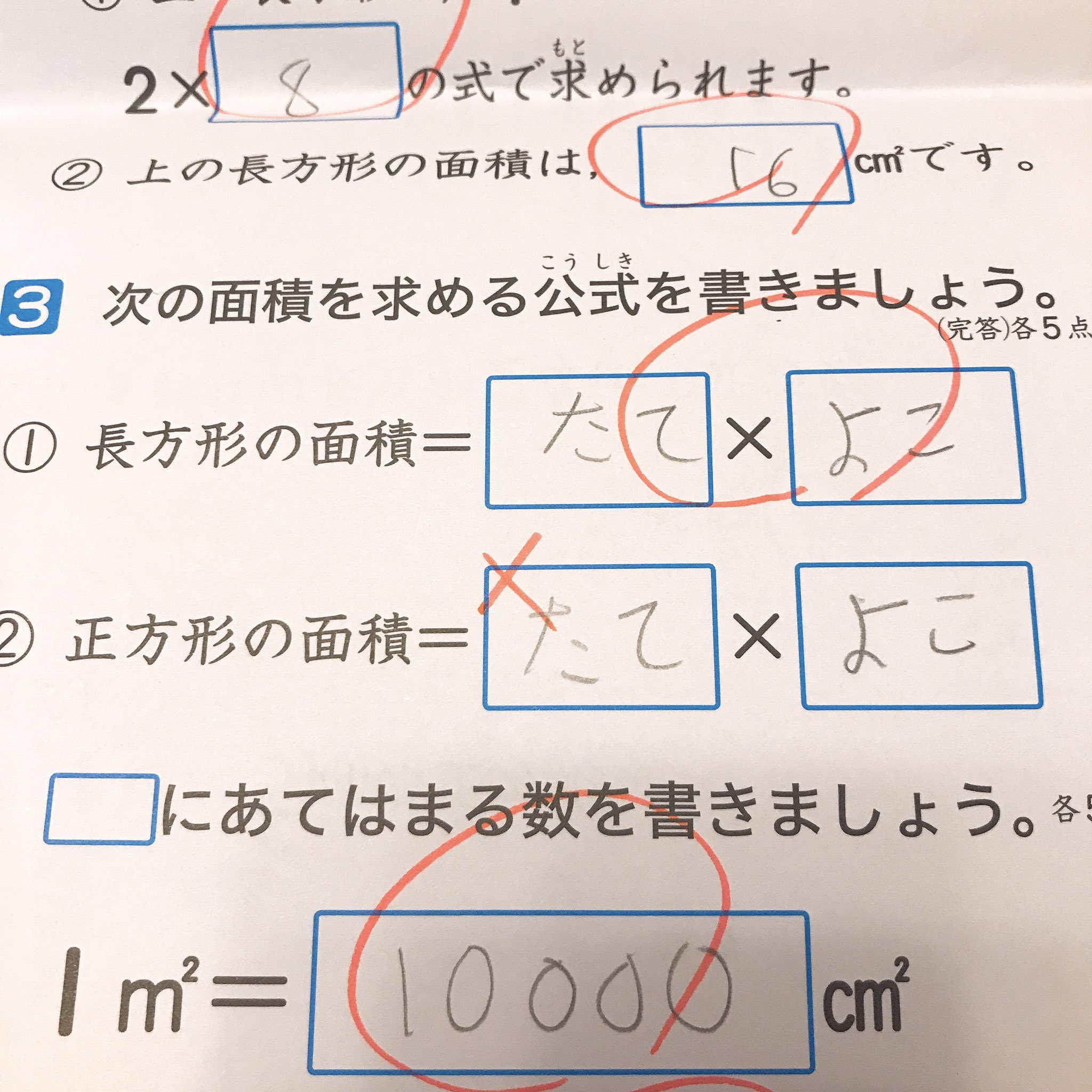 Nyachi こどもの算数のテストでの決まり いろいろめんどくさいよね D 正方形の面積の公式も 一辺かける一辺 と書かないといけない様子 T Co Gchli5ye27 Twitter
