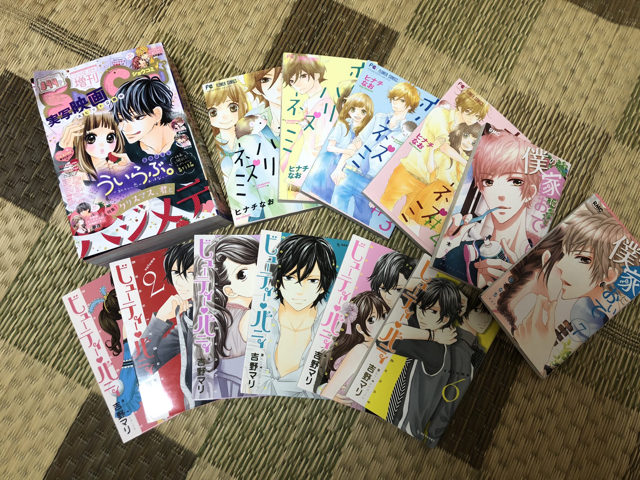 ビューティーバニィ Twitter Search Twitter