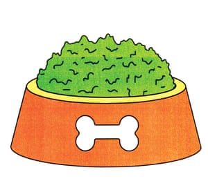 Should you give your dog cannabis?! ---> theguardian.com/society/2018/d… #dogs #doglovers