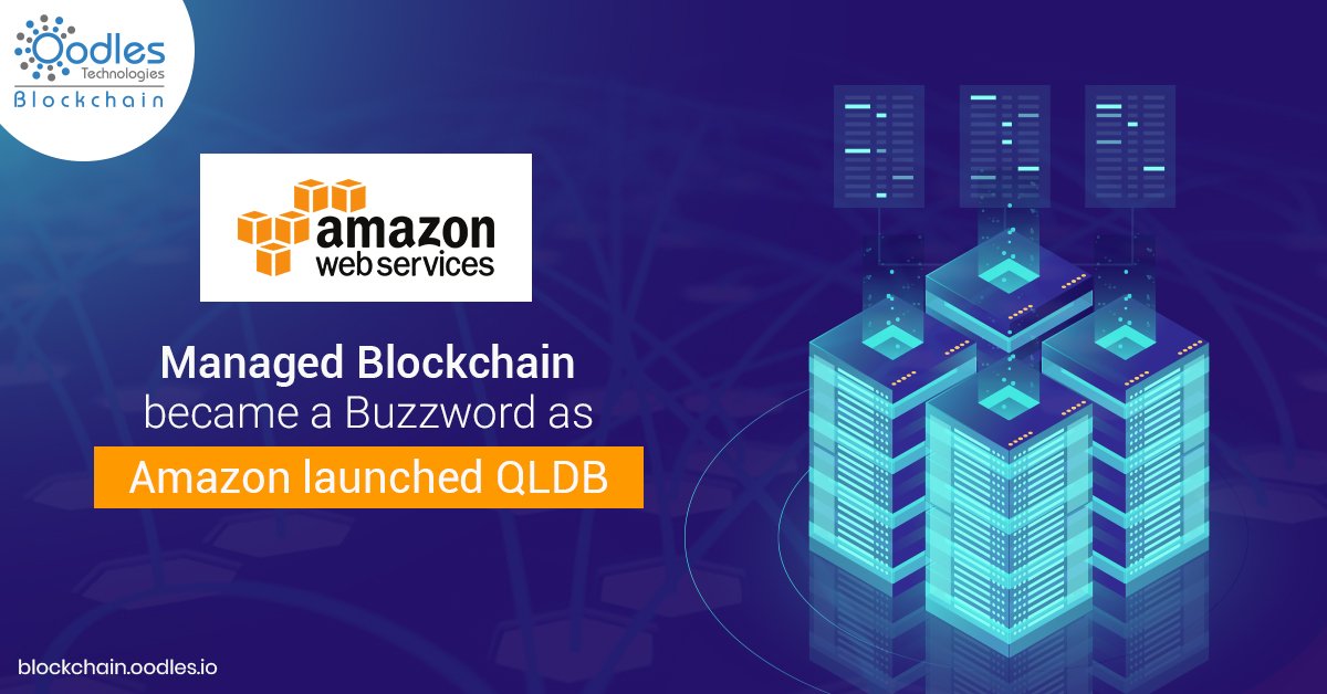 Oodles_Scaffold's tweet photo. So Amazon finally entered the Blockchain Landscape. Amazon QLDB is the next tide in Blockchain App Development. 

Visit-https://t.co/DxaUedlv33

#blockchain #BlockchainBasedAppDevelopment #blockchaindevelopers #AmazonQuantumLedger #blockchaintechnology https://t.co/MsVnpzepB6
