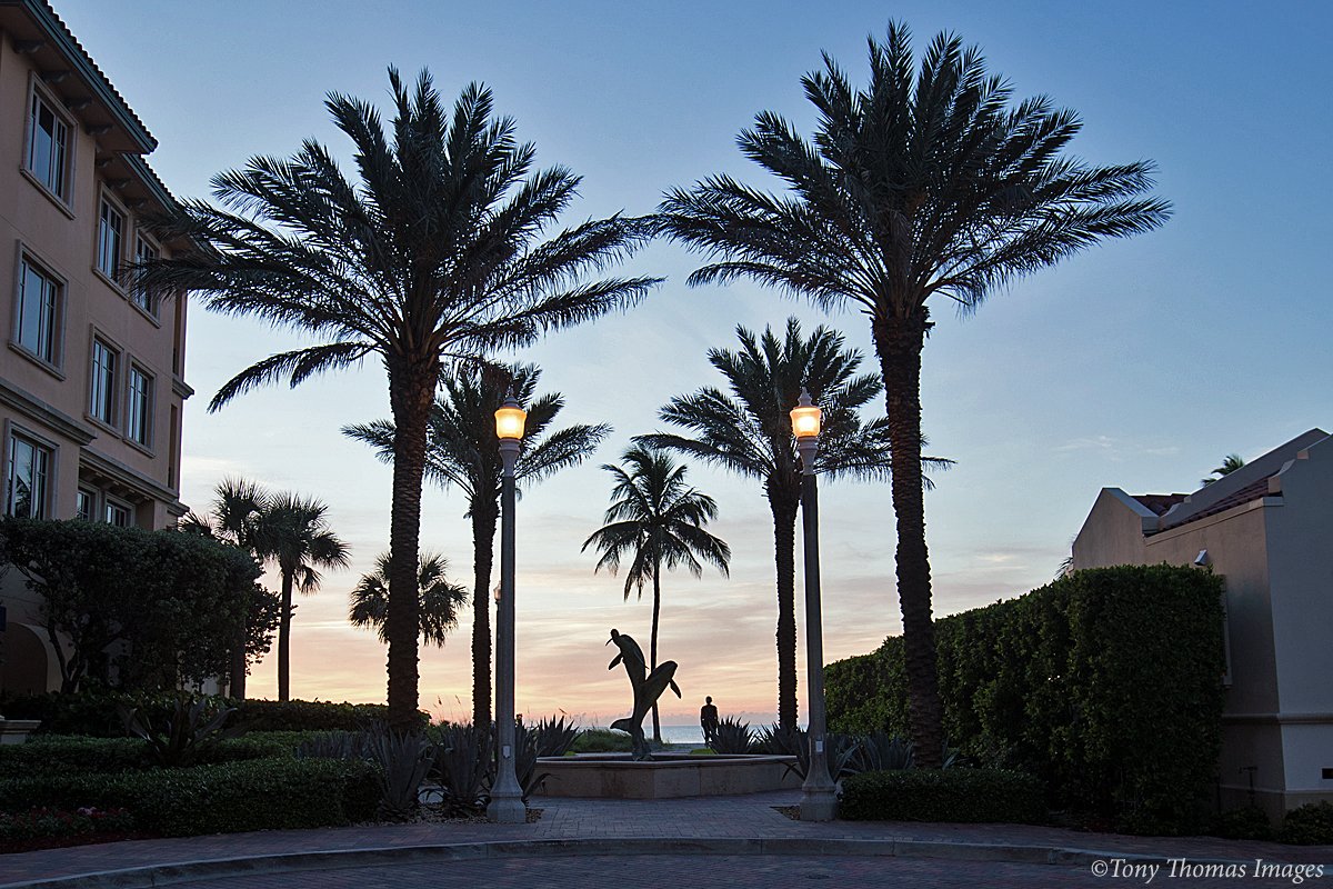HlwdFLImages's tweet photo. Silhouette of dolphins near Positano Condos. #HollywoodBeach #HollywoodFL https://t.co/6EHMtKuiZG