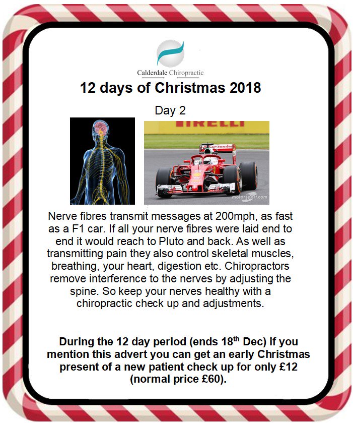 Day 2 - Join us for the 12 days of Christmas. For the next 11 (working) days we will share an interesting fact about your body. During this period are offering a new patient consultation for £12 (normally £60) including X-rays if needed.