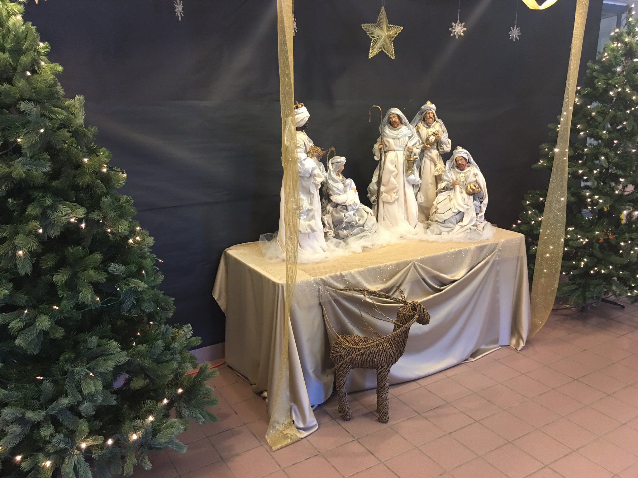Our Lady Of Fatima On Twitter He Will Be A Joy And Delight To Our Lady Of Fatima On Twitter He Will Be A Joy And Delight To