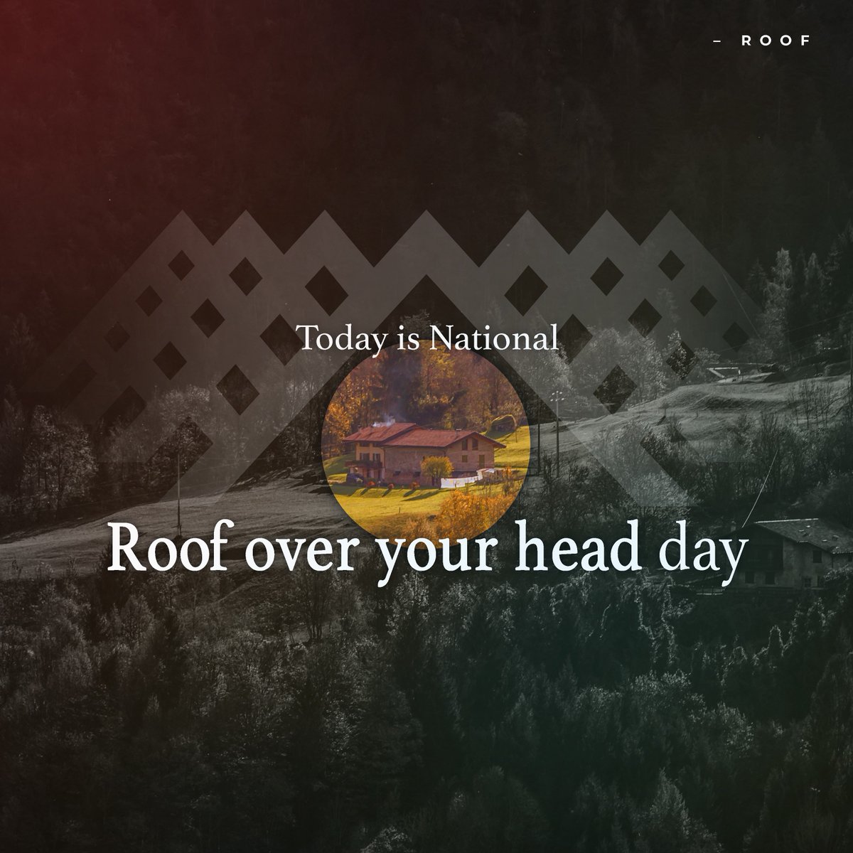 Developrise tweet media