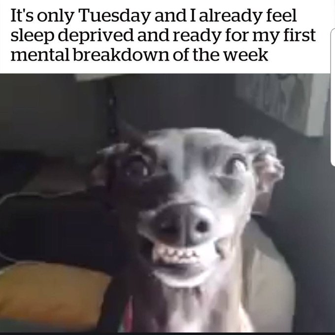 Who wants to deliver me all the caffeine?  #whyisitonlytuesday #sotired #nervousbreakdown #sleepy https://t<a href="/tag/whyisitonlytuesday"class="tags">#whyisitonlytuesday</a><a href="/tag/sotired"class="tags">#sotired</a><a href="/tag/nervousbreakdown"class="tags">#nervousbreakdown</a><a href="/tag/sleepy"class="tags">#sleepy</a>