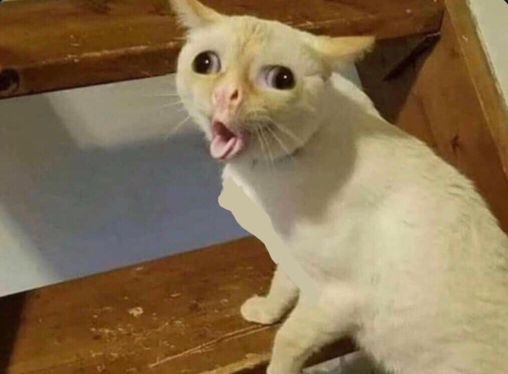 Ur friend is waiting for their pour and u try that kettle sour first then look over at them like