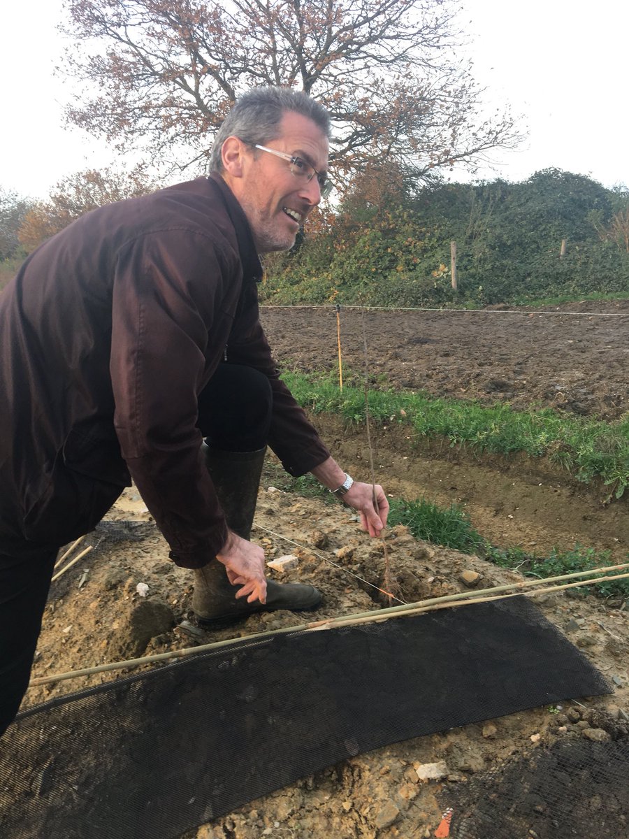 clangouet2017's tweet photo. Plantation 700m. d’une haie chez Maxime Daudin et Aurelien ROBERT (producteurs lait bio) à #Cosmes en #PaysdeCraon dans le cadre d’aide dép.  @lamayenne Défi 1 arbre 1 mayennais https://t.co/5IVhNKNtYJ @ChambagriPdL @Prefet53 #PointInfoBocage https://t.co/zreQhkoSfQ #mayenne https://t.co/rYwv5rFzSB