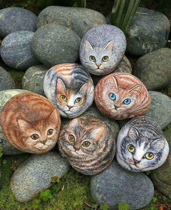 The Cat's Meow tweet media