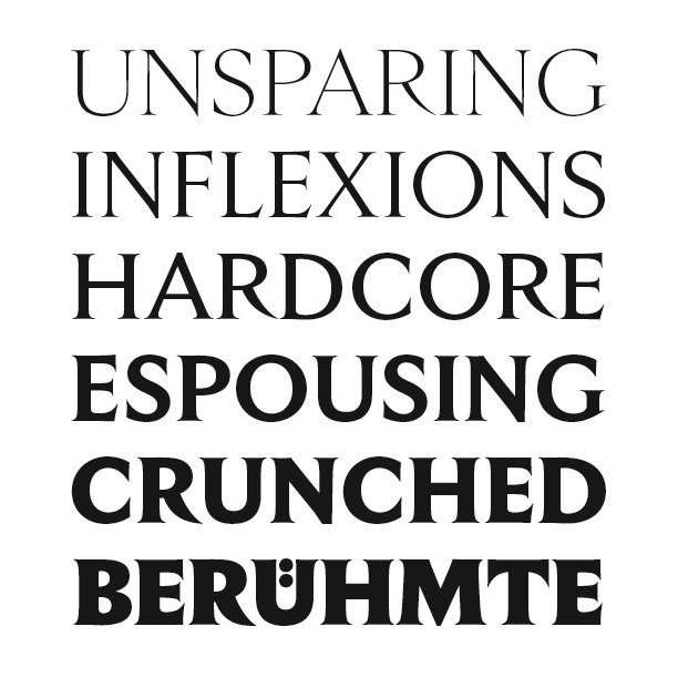 New release! Empirica, designed by Tobias Frere-Jones and <a href="/ninastoessinger/">Nina Stössinger</a>, revisits the grand style of ancient Roman inscriptions, projecting their dignity and authority into a modern type family. frerejones.com/families/empir…