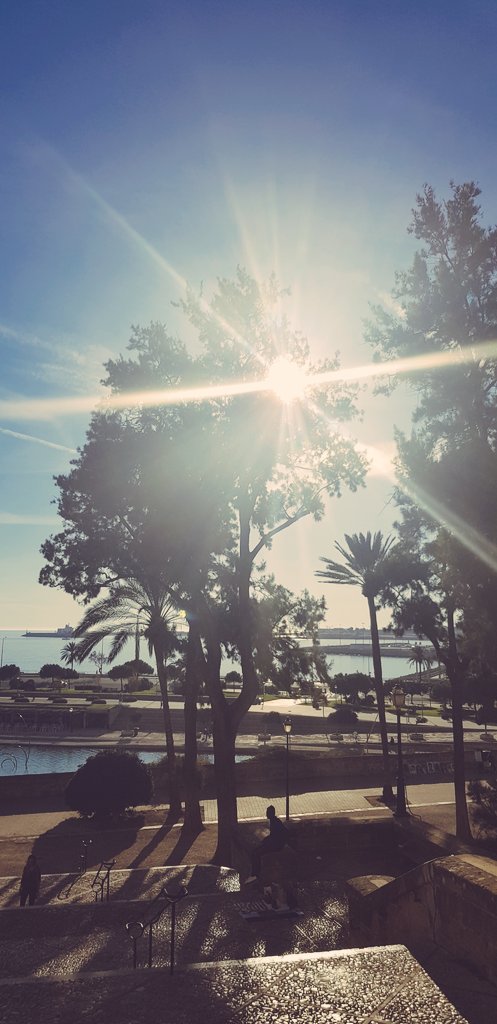 JulieRoseSmith's tweet image. Having a fab time in Palma soaking up some sunshine &amp;amp; getting shoot ready @PalmaPics where the magic happens! Thanks to @starkcasting &amp;amp; @mark_jermin_mgt Not a bad way to start December! #happyactor #grateful #thankyou