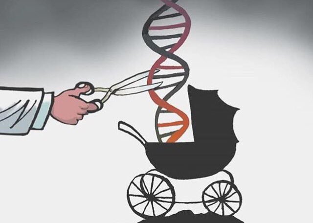 GeneticsEd's tweet photo. #wouldyou ? #GeneticaMasEticaNC #genéticamáséticaNC https://t.co/H8ELu5hlSJ
