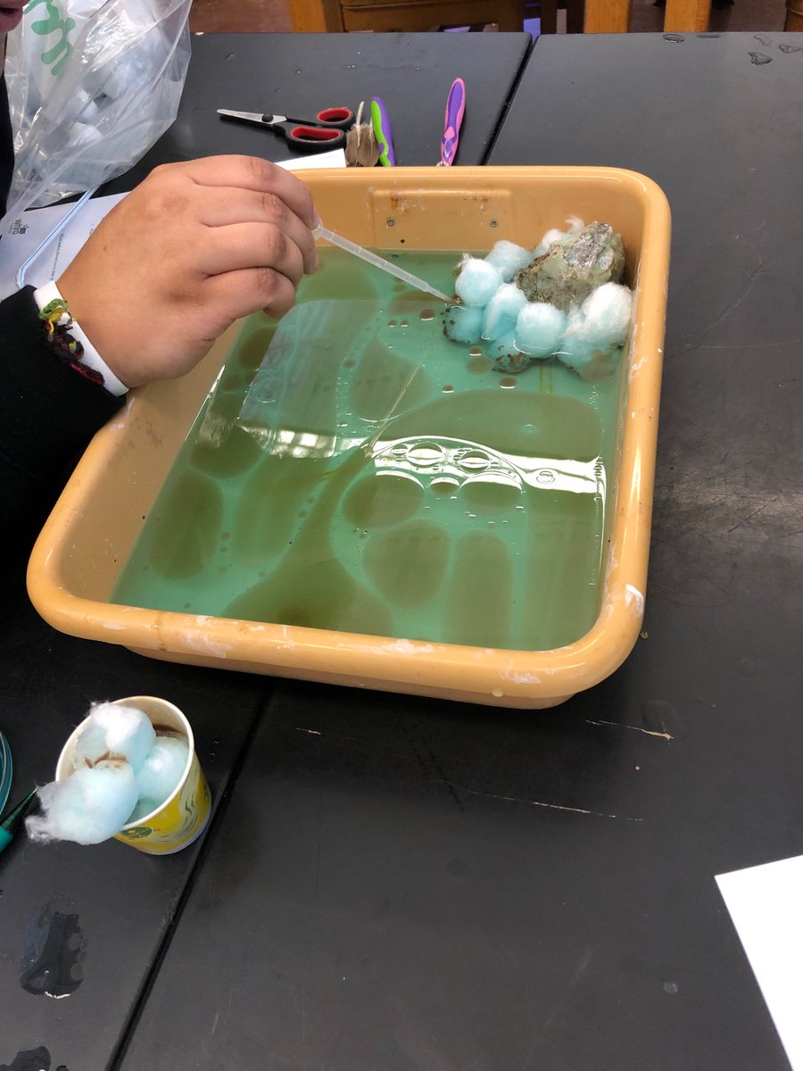 Oil spill clean up in Environmental Science class with Mrs. Carpenter. <a href="/LangstonHS_APS/">Langston High School</a> @APSscience