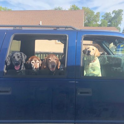 TheReal_Stasche's tweet photo. #NewProfilePic #thelabsquad https://t.co/gqdWOtaPf4