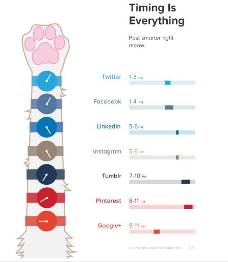 imUmed's tweet photo. Timing is everything for social media post
#socialmediaposttiming #twitterpost #fbpost #linkedinpost #instagrampost #pinterestpost #socialmedia https://t.co/YScW50DBPj